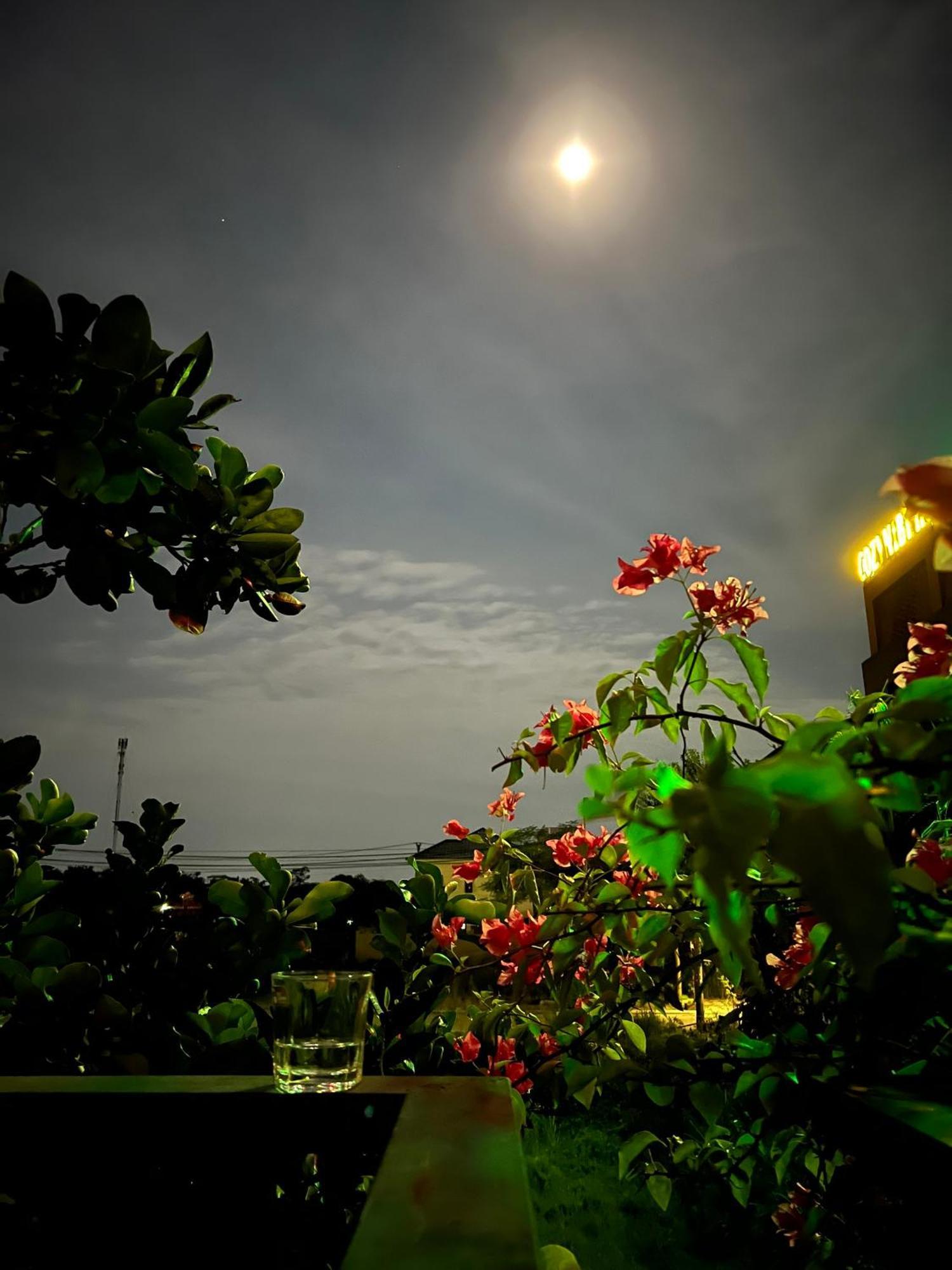 Tam Coc Golden Sun Villa Vu Lam Εξωτερικό φωτογραφία